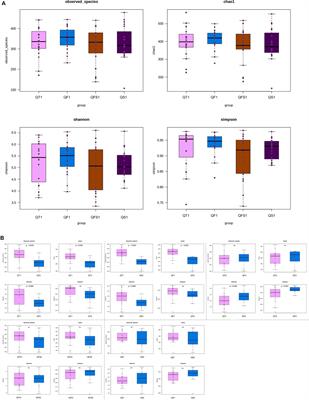 Effects of fucoidan and synbiotics supplementation during bismuth quadruple therapy of Helicobacter pylori infection on gut microbial homeostasis: an open-label, randomized clinical trial